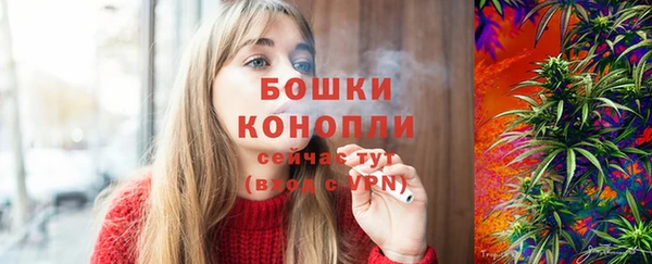 apvp Валдай