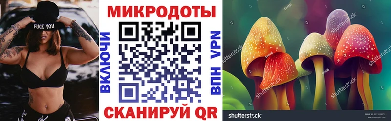 Галлюциногенные грибы MAGIC MUSHROOMS блэк спрут зеркало Кологрив